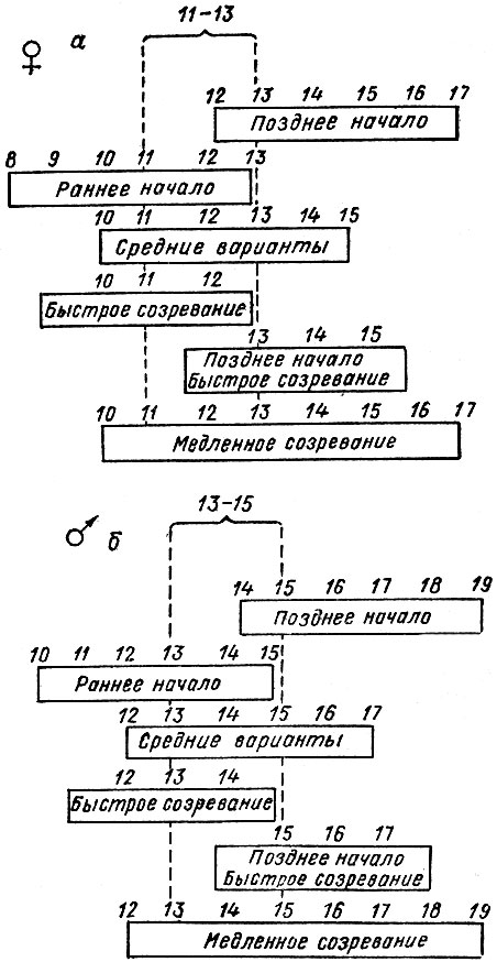 . 2.         ()   () ( , 1965)