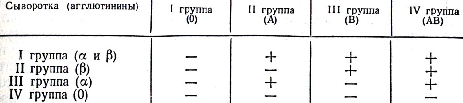 Реферат Группа Крови Резус Фактор