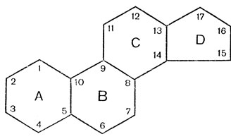 Рис. 15. Циклопентанпергидрофенантреновое ядро