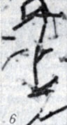 . 1-28.   Clostridium. . 6.   Cl. botulinum  (  ; × 1900)